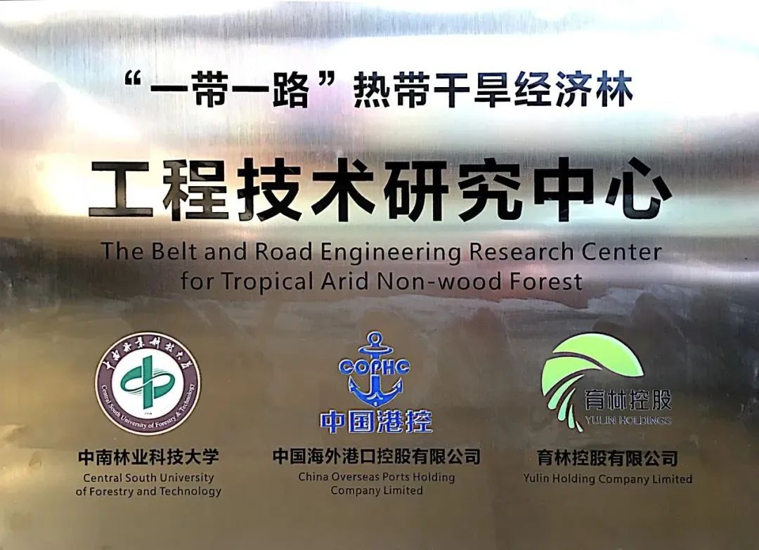 央視聚焦育林控股海外育苗基地：科技育苗助力作物增產